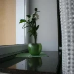 evroremont neboshill 32