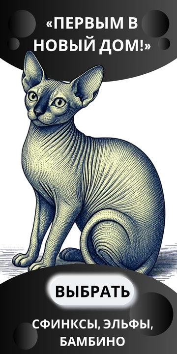 sphinks